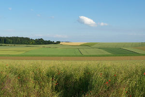 région hauts de france